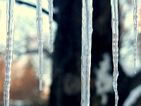 14012CrLeSh - Icicles out the Family Room Window.JPG
